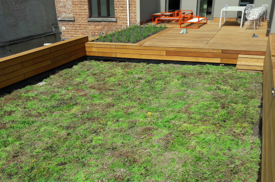 Houten terras met meubeltjes kijkt uit op een rustgevend groendak.