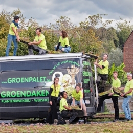 Team Groenpalet