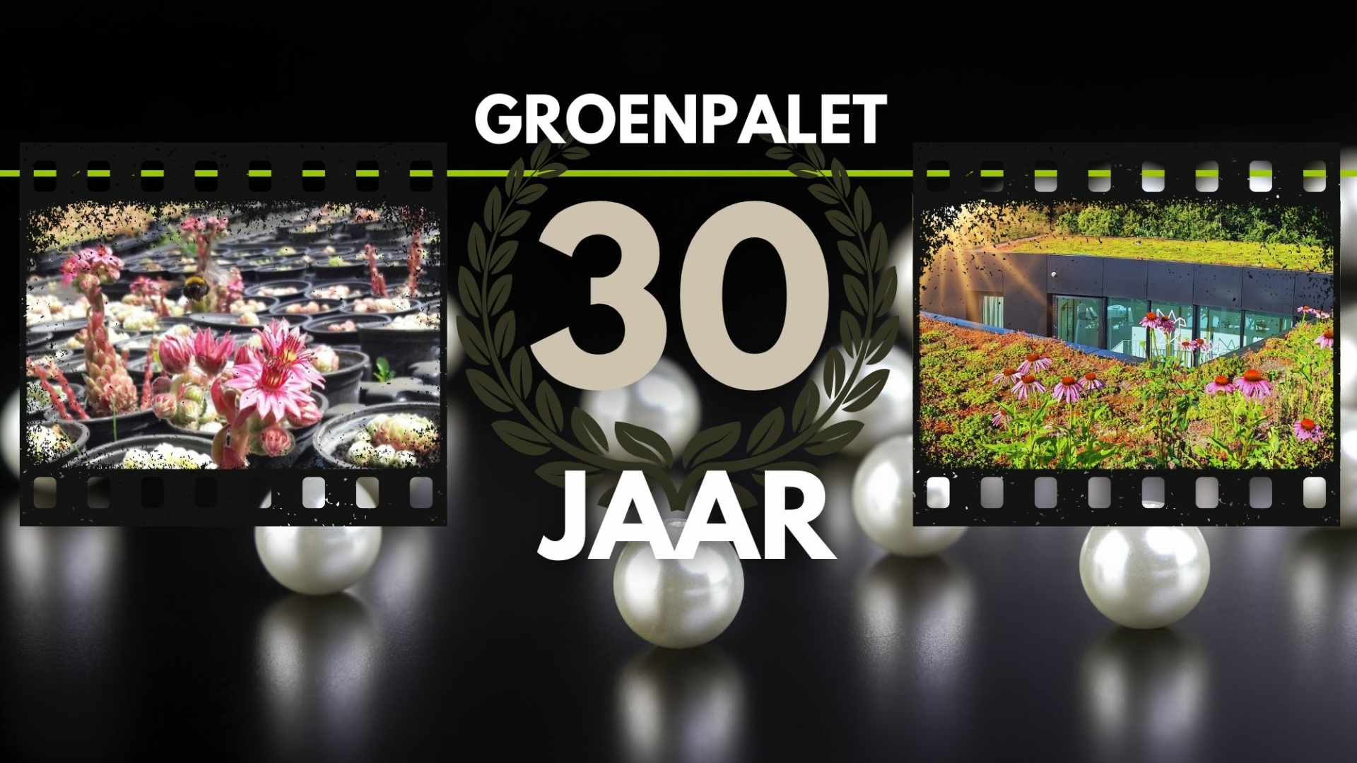 Groenpalet 30 jaar