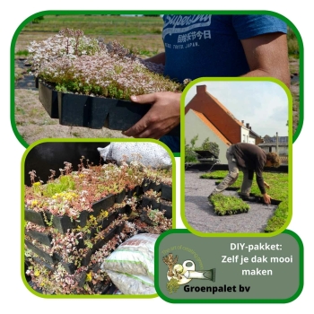 DIY groendak sedumcassettes