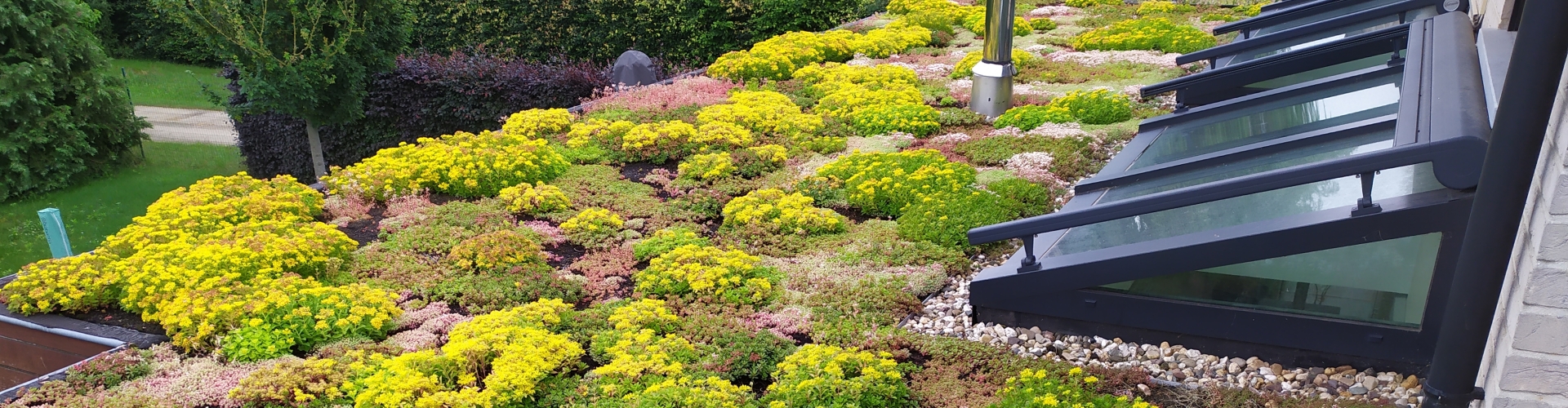 planten op je dak