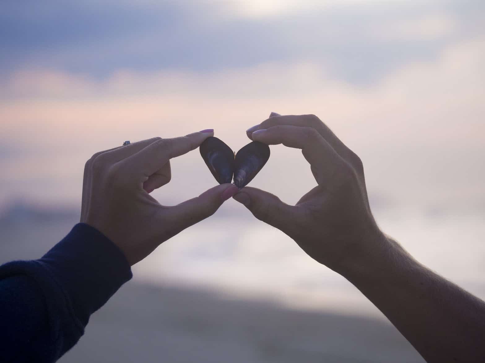schone energie