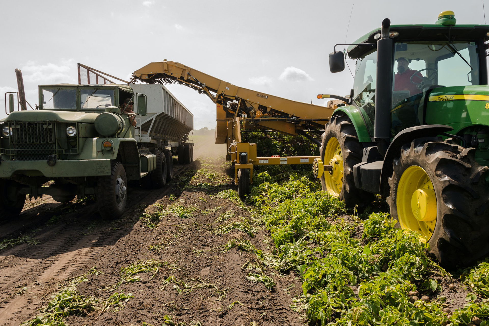 Gemengd beeld landbouw