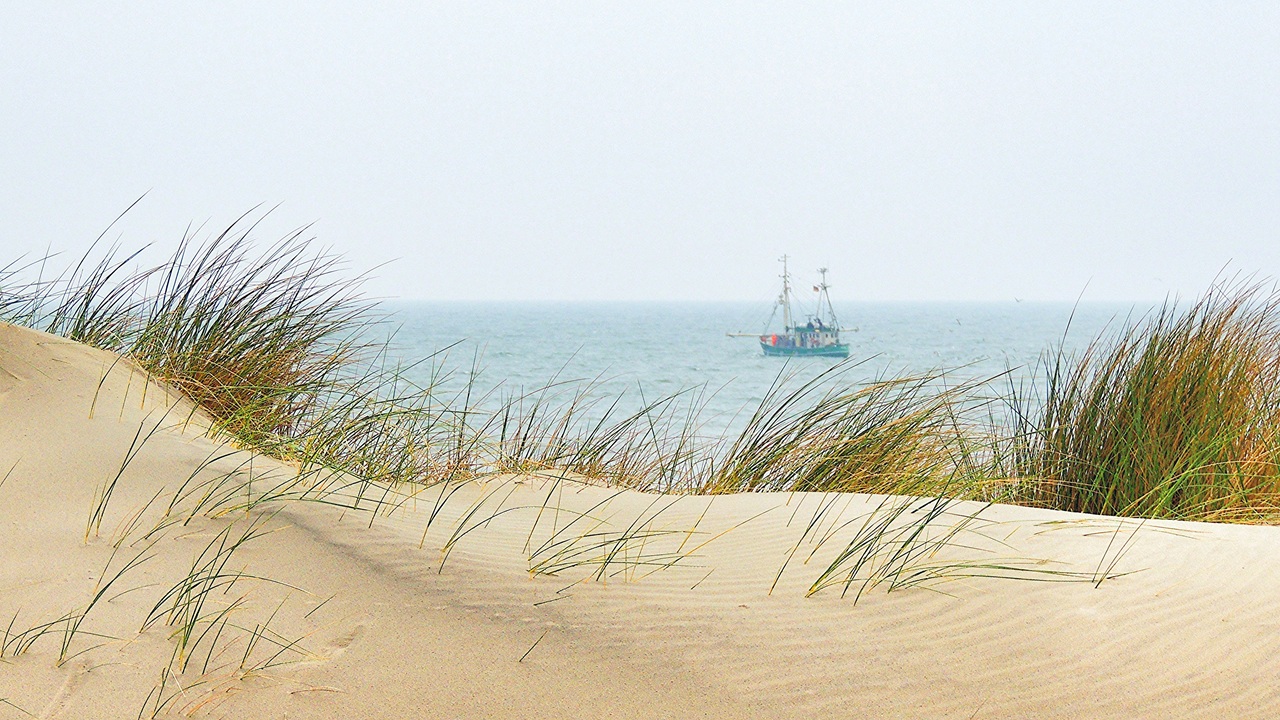 De toekomst van de Noordzee