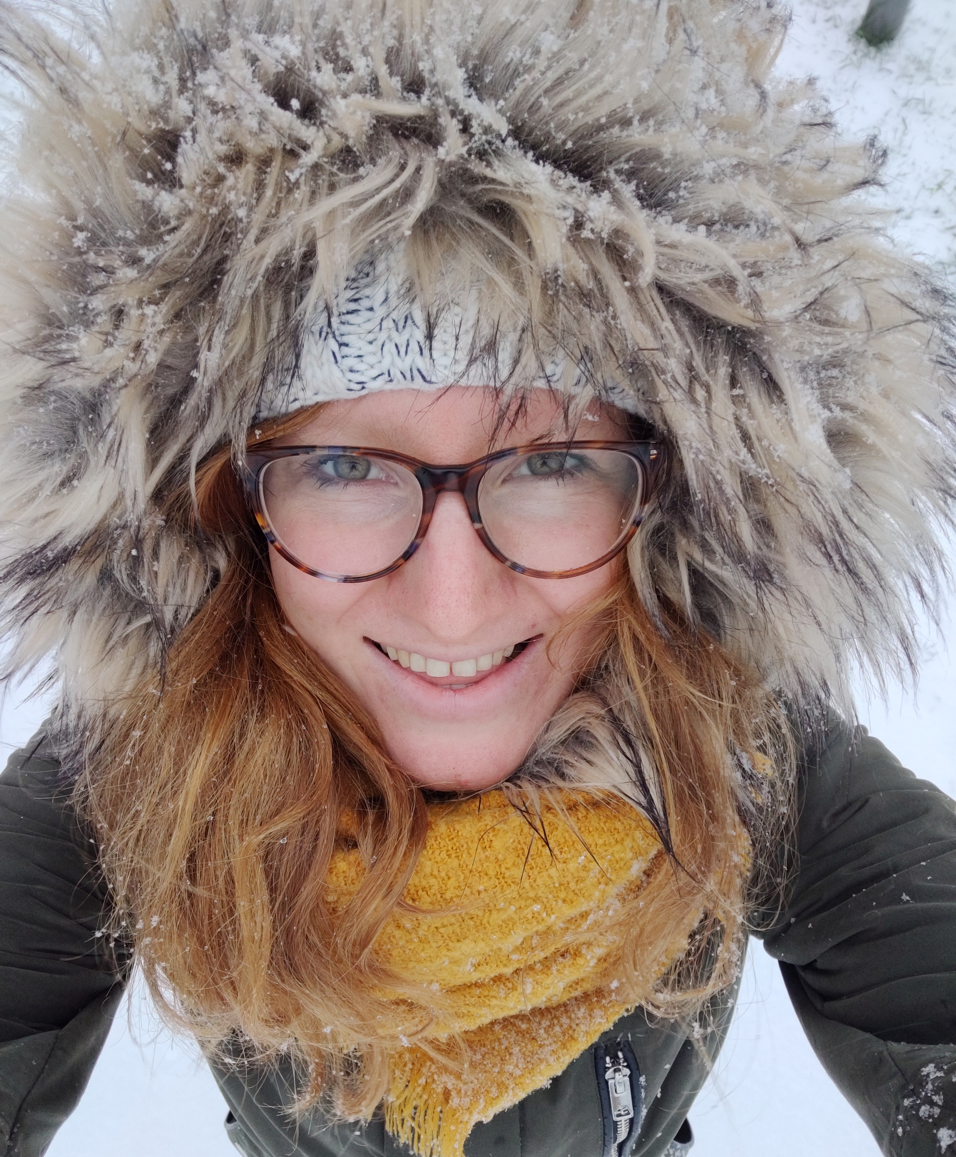 De winter: de nacht van het jaar