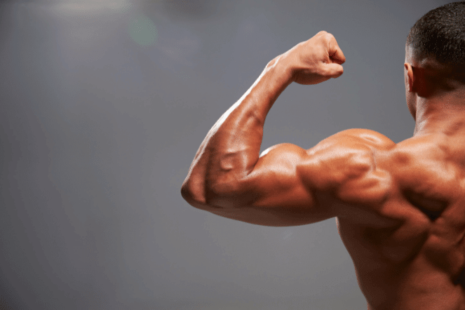 Optimaal biceps trainen met de beste bicepoefeningen