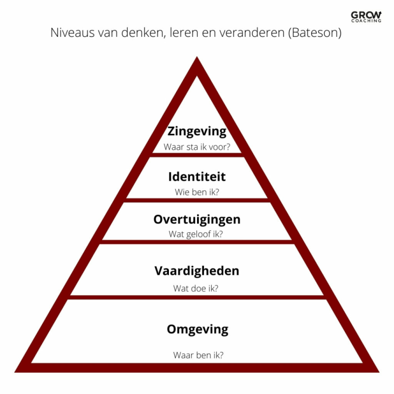 Model van Bateson uitleg voor groei en succes