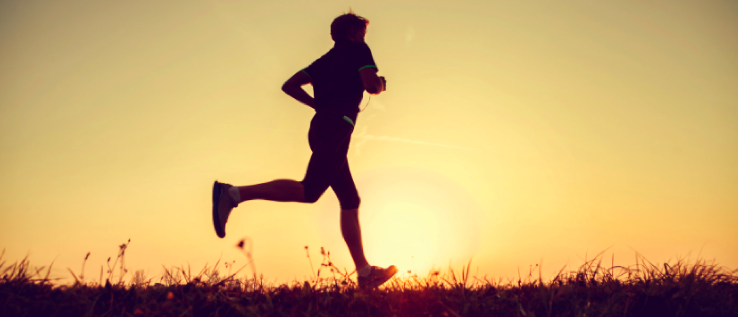 wat-is-aerobe-training