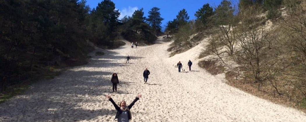 Zes redenen waarom je een ideale yoga retreat in Nederland kunt ervaren