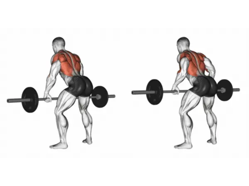 barbell row, bent over row, weighted row