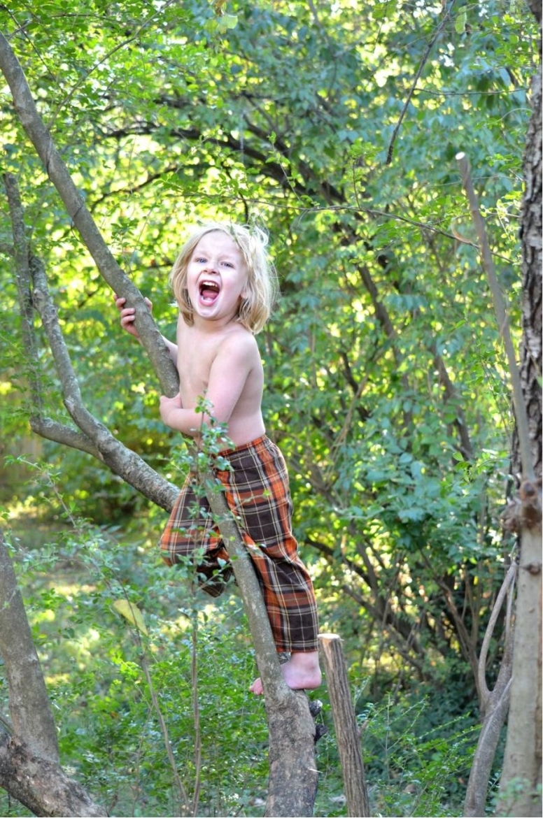 outdoor-gymnastics-tree