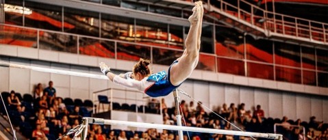 Five basic terms as part of sports performance ability in gymnastics