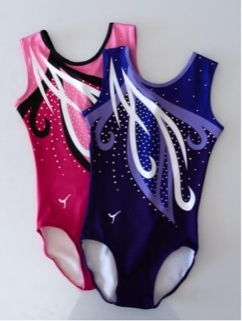 the-perfect-leotard-gymnastics