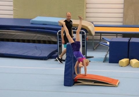 implicit-learning-gymnastics