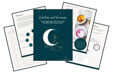 E-book Werken met de maan