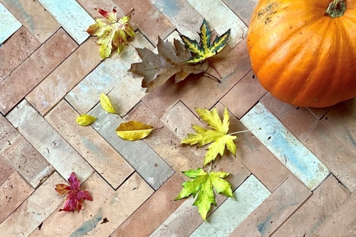 terracotta-red-naturel-visgraat