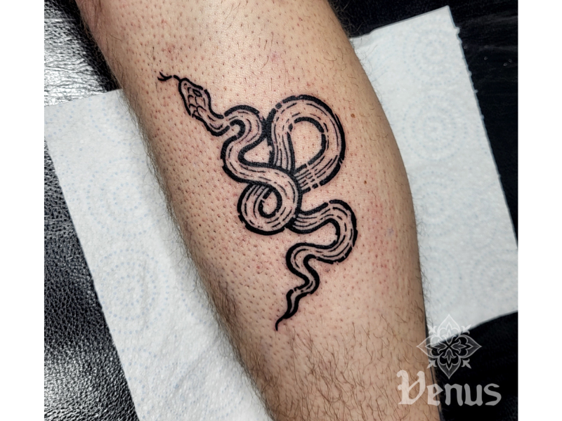 etch tattoo van slang