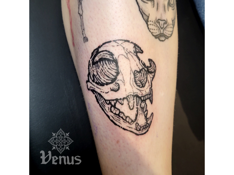 Etch tattoo katten schedel