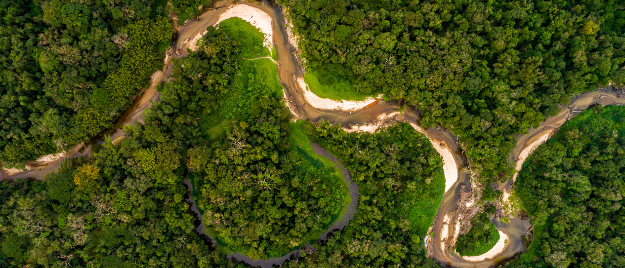 copaiba-essentiele-olie copaiba-essentiele-olie