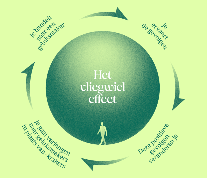 intentioneel-leven-vliegwiel