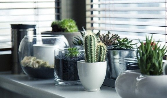 Tips voor een nieuwe look van je huis Tips voor een nieuwe look van je huis
