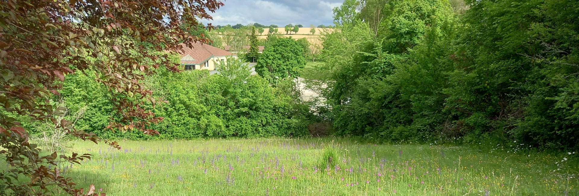 Garden view Toekomstdroom uitzicht