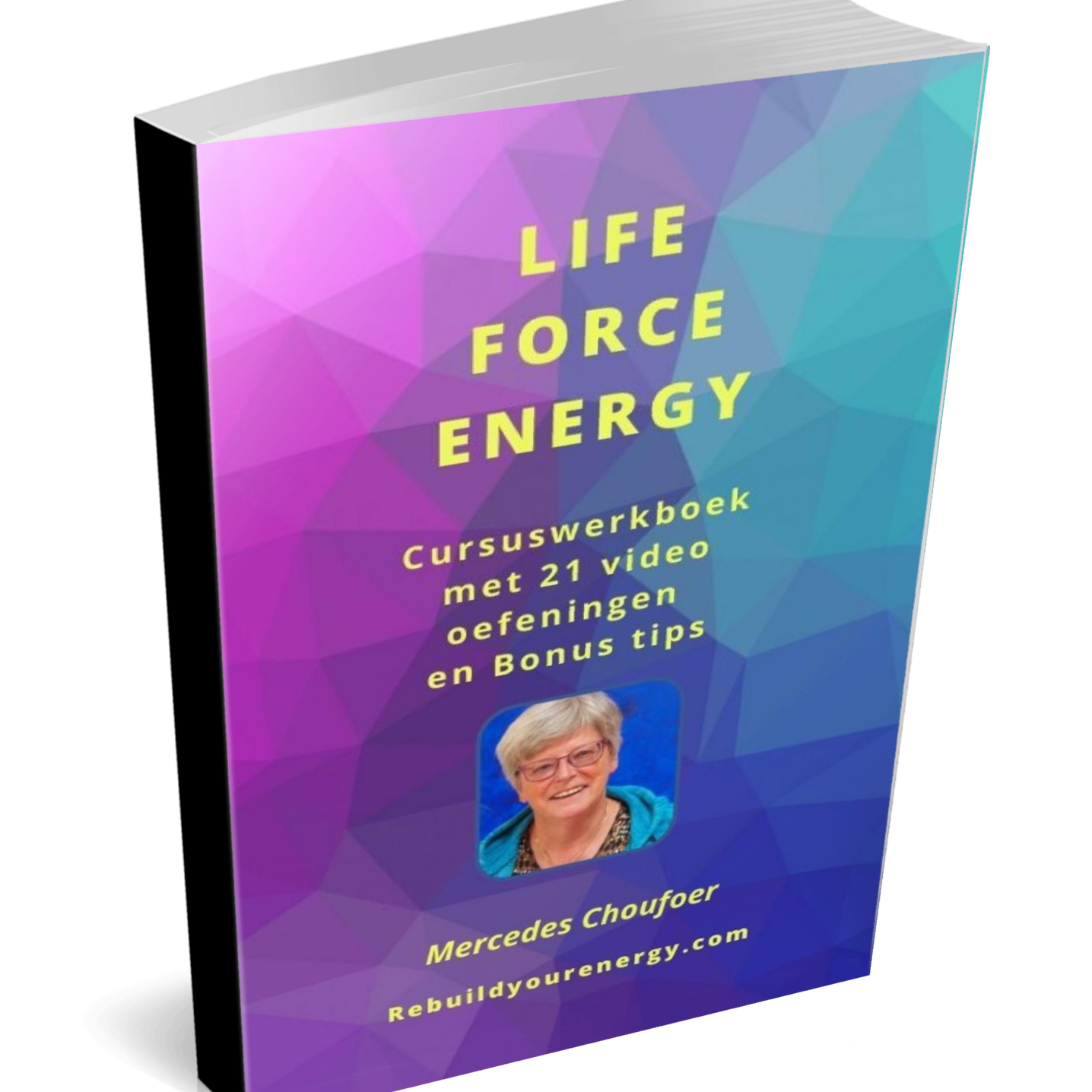 e Life Force Energy cursus werkboek