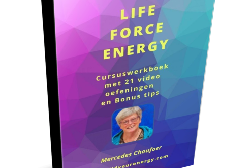 e Life Force Energy cursus werkboek