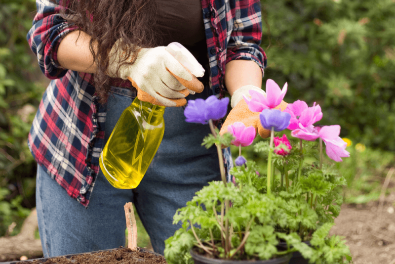 Tips voor duurzaam tuinieren