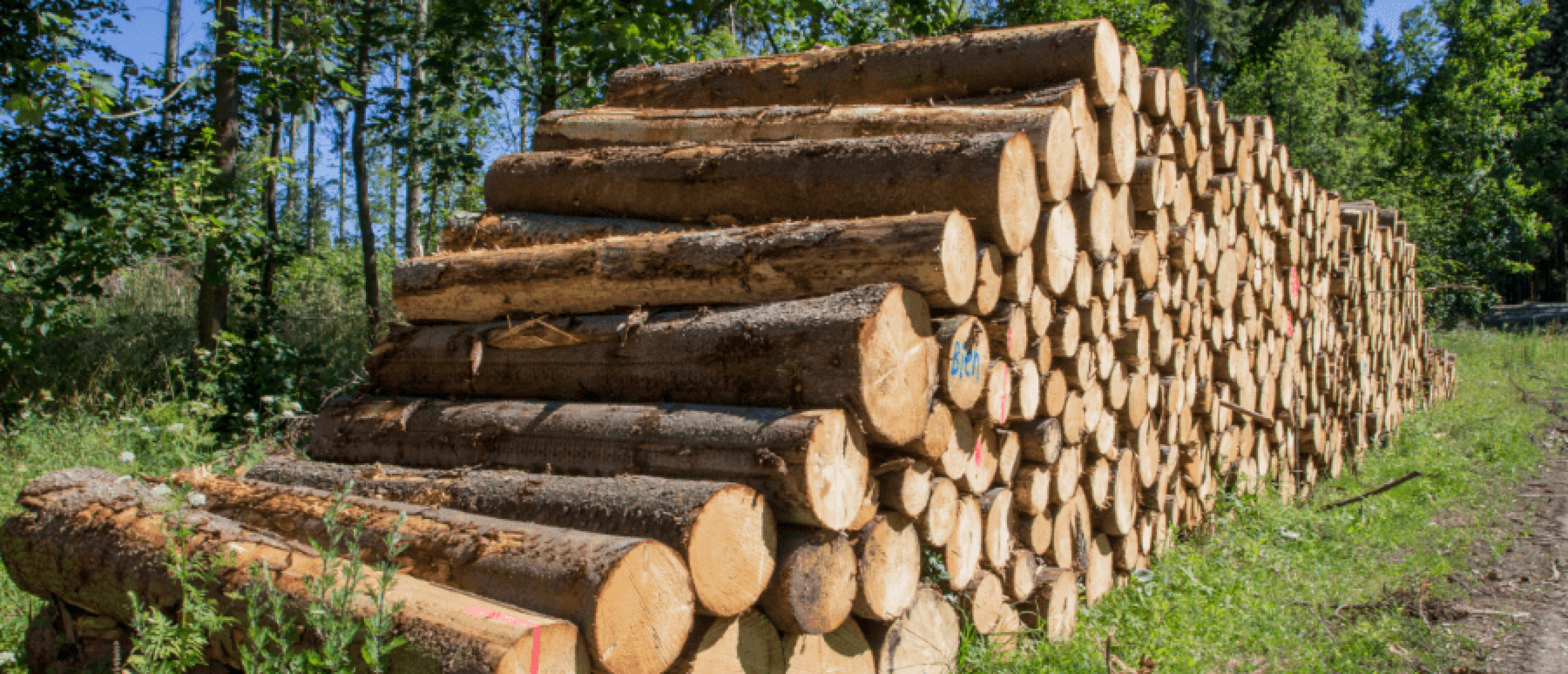 Dressoir voor buiten: tips + op maat laten maken