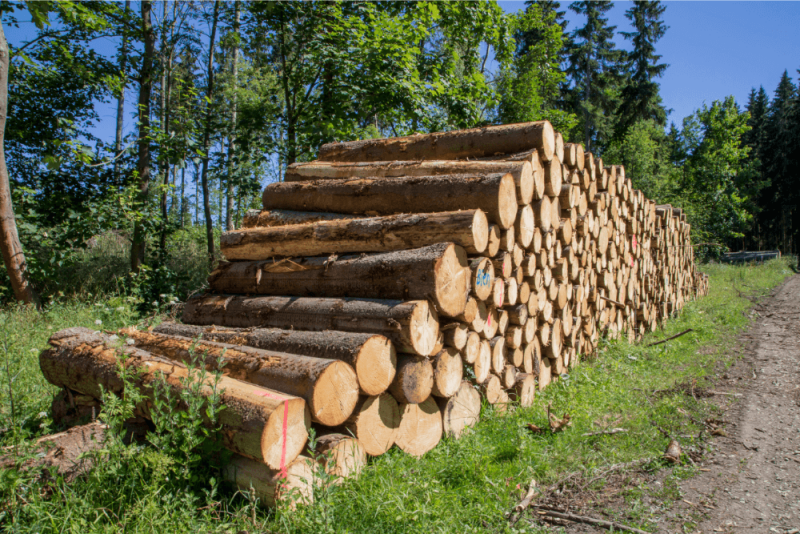 Wordt hout duurder in 2023?
