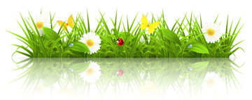 Je tuin lenteklaar maken