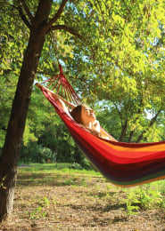 Genieten in een hangmat in je eigen klimaattuin