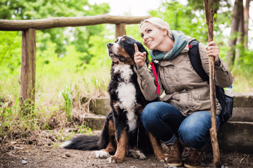 3-tägiges Arrangement mit Ihrem Hund im Harz Hotel Iris