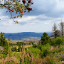 Atemberaubende Landschaften im Harz Hotel Iris