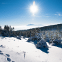 Atemberaubende Winterlandschaften im Harz