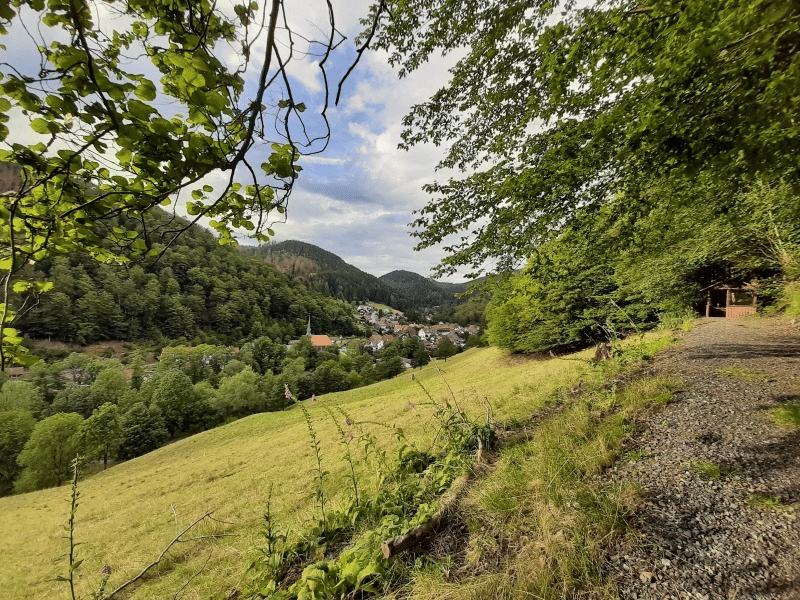 Blick auf Sieber im Harz im Harz Hotel Iris