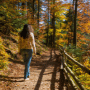 Geeignet für jedes Niveau im Harz