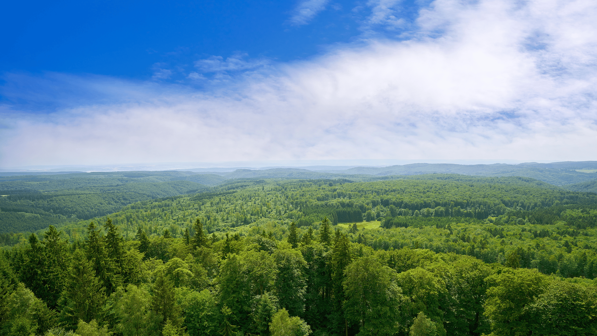 Harz Hotel Iris mitten im Harz