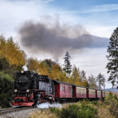 Harzer Schmalspurbahn im Harz im Harz Hotel Iris