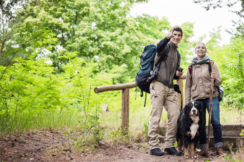 Mit dem Hund in den Harz im Harz Hotel Iris