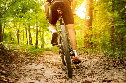 Mountainbiken im Harz im Harz Hotel Iris