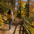 Umfassendes Wander- und Radwegenetz im Harz Hotel Iris im Harz