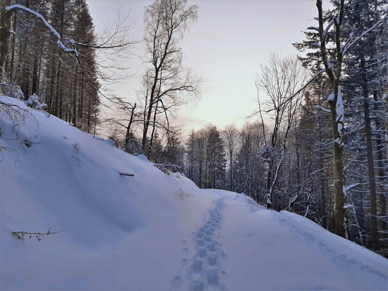 Winter im Harz im Harz Hotel Iris