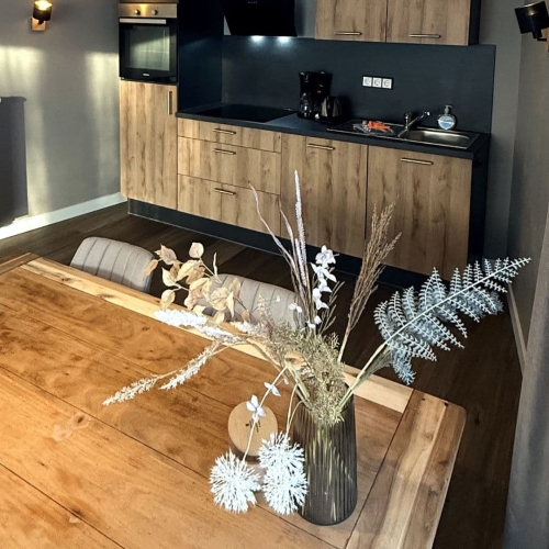 Appartement met volledig ingerichte keuken bij Harz Hotel Iris in de Harz