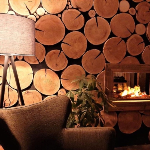 Gezellige lounge met open haard en houten wand in boutique hotel Harz Hotel Iris in de Harz