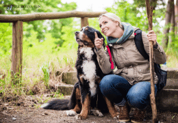 Harz Hotel Iris 3-daag arrangement met de hond