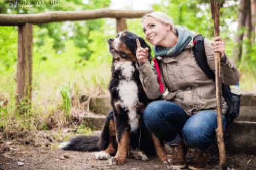 Harz Hotel Iris 3-daag arrangement met de hond