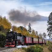 Harzer Schmalspurbahn in de Harz bij Harz Hotel Iris