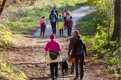 Groep wandelaars ontdekt de natuur van de Harz tijdens een verblijf bij Harz Hotel Iris